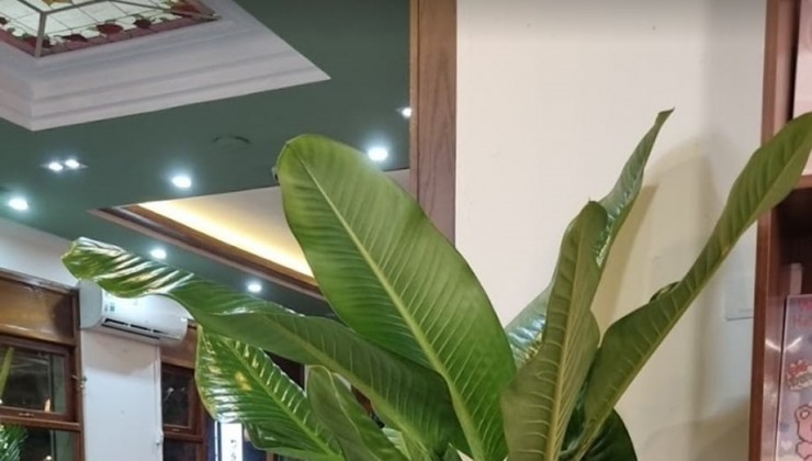 CHO THUÊ NHÀ LÔ GÓC KD PHỐ NGUYỄN VĂN LỘC, DT 150M2, 1 TẦNG, MT 17M, GIÁ 40 TRIỆU (CÓ TL)